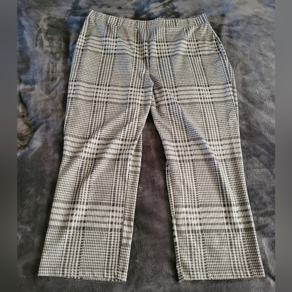 Sanctuary Carnaby Kick Crop Pant